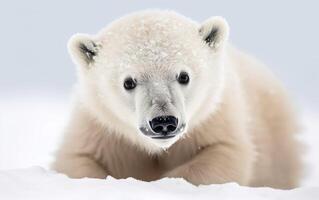 polare orso cucciolo nel il nevoso tundra. ai, generativo ai foto