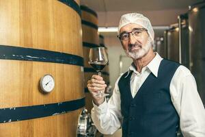 ritratto professionale vino esperto anziano personale lavoratore opera qualità controllo dai un'occhiata nel azienda vinicola fabbrica foto