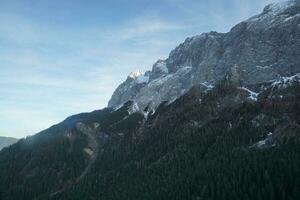 bellissimo scenario di pino foresta con montagna Visualizza. foto