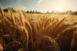 agricolo Grano paesaggio. creare ai foto