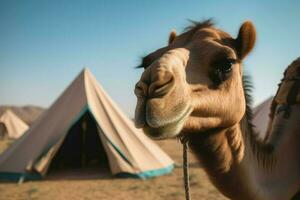 cammello deserto tenda. creare ai foto