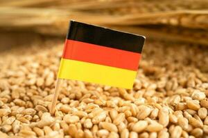 chicchi di grano con bandiera della germania, esportazione commerciale e concetto di economia. foto