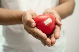 asiatico donna volontario Tenere un' rosso cuore, donazione, beneficenza, fiducia, assicurazione concetto. foto