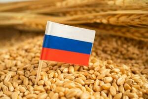 cereali Grano con Russia bandiera con fermare cartello, commercio esportare e economia concetto. foto