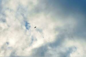 silhouette di uccello volante nel blu cielo con bianca nuvole foto