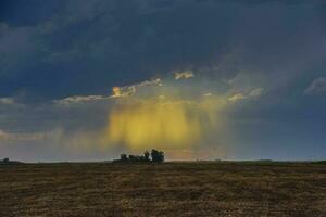 tempestoso cielo dovuto per pioggia nel il argentino campagna, la pampa Provincia, patagonia, argentina. foto