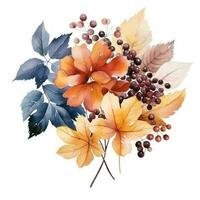 acquerello colorato autunno mazzo isolato foto
