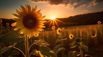 girasole tramonto dietro a ai generato foto