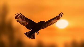 uccello volante su tramonto cielo ai generato foto