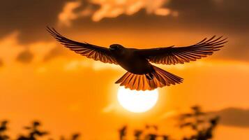 uccello volante su tramonto cielo ai generato foto