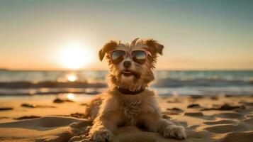 cane indossare occhiali da sole seduta su il spiaggia ai generato foto