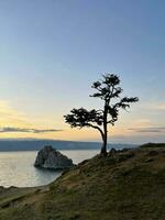 silhouette di cadetto albero vicino roccia sciamanka su olkhon isola a tramonto, lago baikal, Russia foto