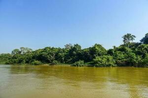 fiume paesaggio e giungla, pantanal, brasile foto