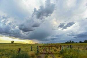 campagna cancello tempestoso con un' tempestoso cielo nel il sfondo, la pampa Provincia, patagonia, argentina. foto