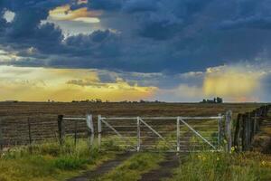campagna cancello tempestoso con un' tempestoso cielo nel il sfondo, la pampa Provincia, patagonia, argentina. foto