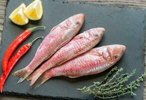 crudo rosso muggine con ingredienti foto