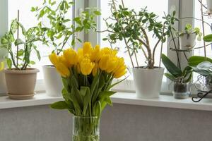 un' mazzo di fresco giallo tulipani. un' mazzo di tulipani su il tavolo nel davanti di il finestra con impianti. primavera fiori nel il interno. il concetto di primavera o vacanza, marzo 8, internazionale foto