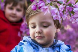 ritratto di bambini nel rosa Mela fiori. Mela albero nel fioritura. primavera fioritura di il Mela frutteto. sfondo per presentazioni, manifesti, striscioni, e saluto carte. foto