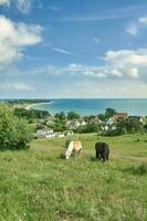 klein zicker a moenchgut natura riserva,,ruegen,baltico mare, meclemburgo-pomerania anteriore, germania foto