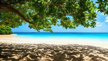 bellissimo estate esotico sabbioso spiaggia con sfocato albero e mare su sfondo foto