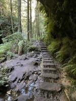 mille dollari canyon camminare katoomba NSW foto