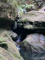 mille dollari canyon camminare katoomba NSW foto