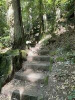 mille dollari canyon camminare katoomba NSW foto