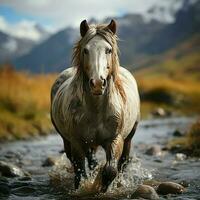 un' selvaggio cavallo in esecuzione nel il torrente. selvaggio o azienda agricola animali concetto di ai generato foto