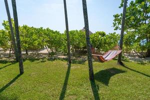 spiaggia tropicale con amaca sotto le palme al sole