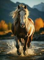 un' selvaggio cavallo in esecuzione nel il torrente. selvaggio o azienda agricola animali concetto di ai generato foto