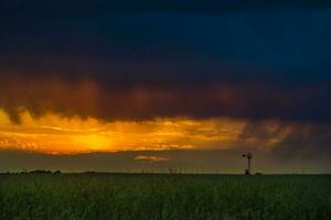 un' tramonto al di sopra di un' campo con un' mulino a vento nel il sfondo foto