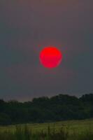 un' rosso sole è visto nel il cielo foto