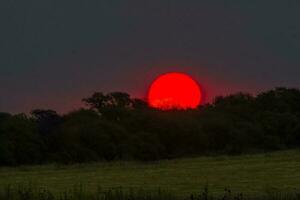 un' rosso sole è visto nel il cielo foto