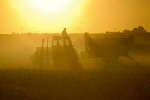 un' uomo è Lavorando su un' azienda agricola nel il sole foto