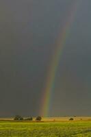 un' arcobaleno è visto nel il cielo al di sopra di un' campo foto