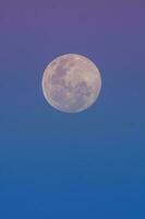 un' pieno Luna è visto nel il cielo con un' viola e blu sfondo foto