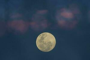 un' pieno Luna è visto nel il cielo con un' viola e blu sfondo foto