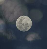 un' pieno Luna è visto nel il cielo con un' viola e blu sfondo foto