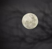 un' pieno Luna è visto nel il cielo con un' viola e blu sfondo foto