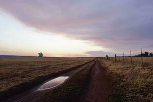 un' tramonto al di sopra di un' campo con un' recinto e un' recinto inviare foto