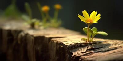 ai generato. ai generativo. bellissimo giallo fiore in crescita a partire dal di legno mattone bloccare tavolo. floreale energia forte natura all'aperto vibrazione. grafico arte foto