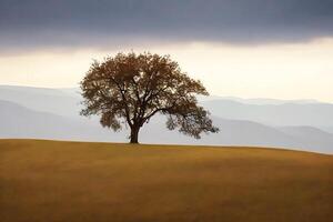 gratuito solitario albero. ai generato foto