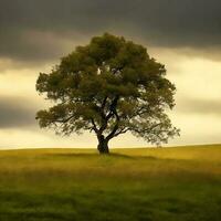 gratuito solitario albero. ai generato foto