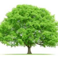 gratuito isolato albero su bianca sfondo. ai generazioni foto
