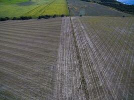 coltivato terra, aereo Visualizza, la pampa, argentina foto