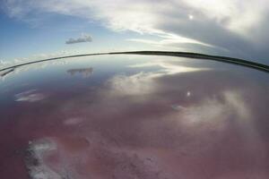 sale campo nel dunaliella salina, argentina foto