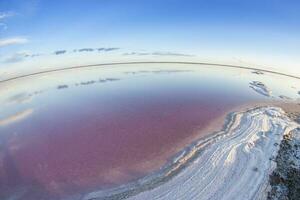 sale campo nel dunaliella salina, argentina foto