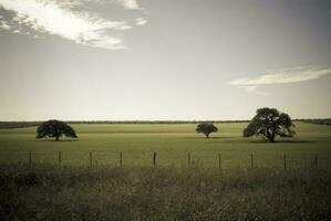 paesaggio Visualizza la pampa, argentina foto