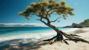 un' solitario palma albero su il bordo di un' tropicale spiaggia generato di ai foto