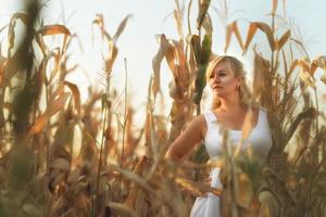 donna in un abito lungo estivo bianco cammina su un campo di grano e posa nell'ora del tramonto.